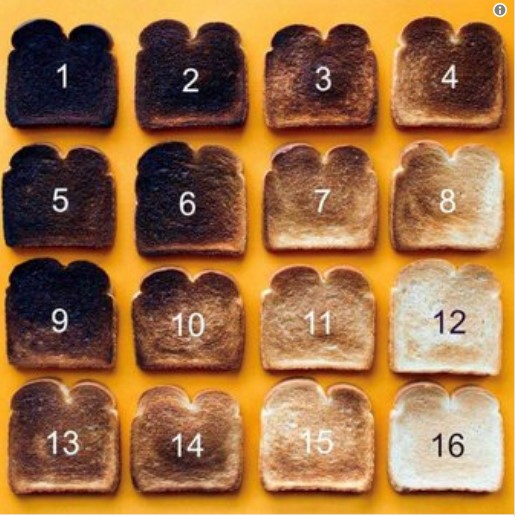 Celebrity Toast Kaizen