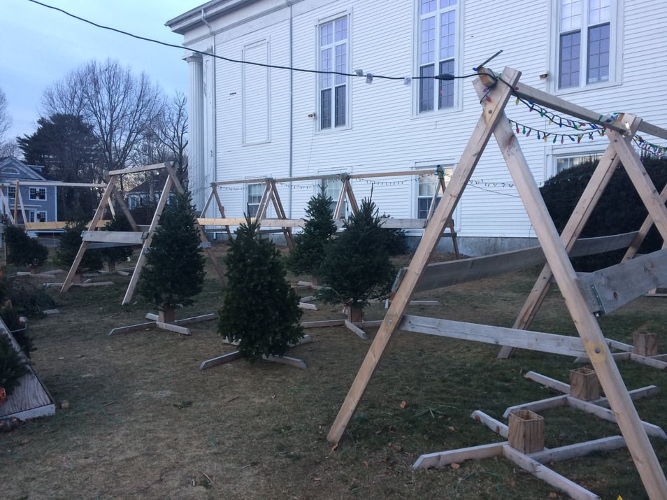 How to Rework a Charlie Brown Tree